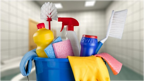 Professional carpet cleaner investigating a service issue