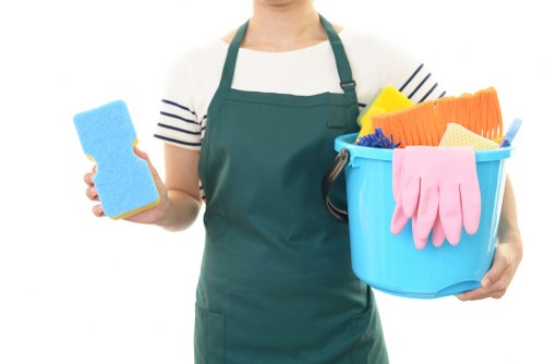 Professional carpet cleaning in a Homerton home living room