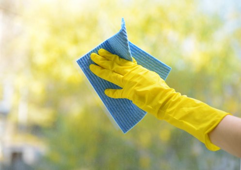Eco-friendly carpet cleaning team in Homerton with recycling bins and sustainable equipment