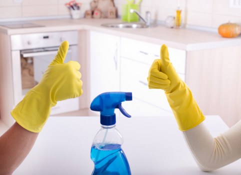 Homerton carpet cleaners explaining transparent pricing for a domestic carpet cleaning quote