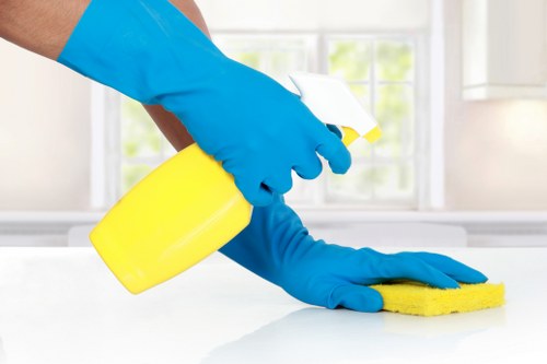 Professional steam carpet cleaning in a Homerton home