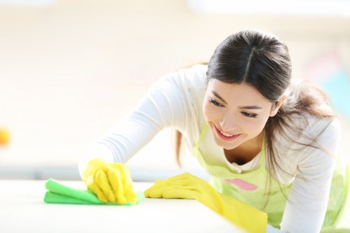 In-situ curtain cleaning in a Homerton property