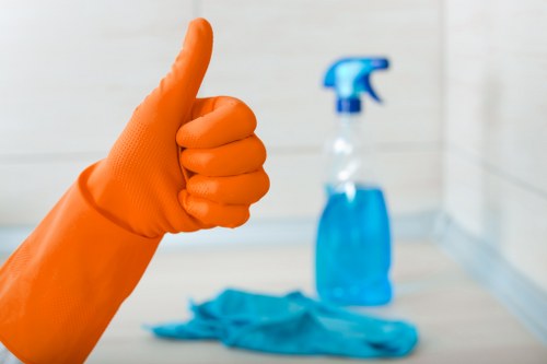 Fresh, clean household interior after pet odour treatment in Homerton
