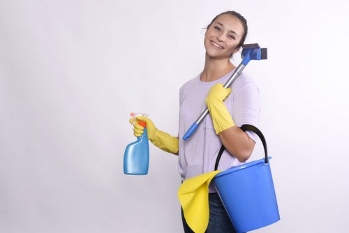 Accessibility request support for Homerton carpet cleaners users