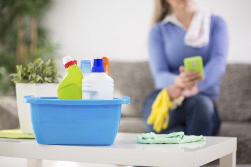 Detailed carpet cleaning process for different carpet types